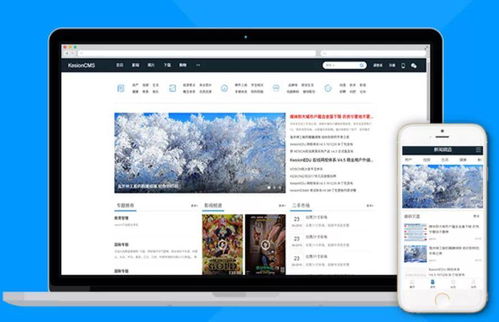 2021年国产CMS软件盘点及软服之家热度排行榜分析