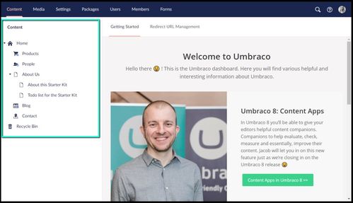 盘点10个热门.NET开源CMS项目,助力网站建设