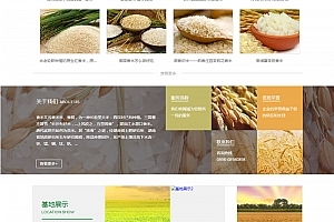 网站源码与内容管理系统 构建与管理现代网站的关键